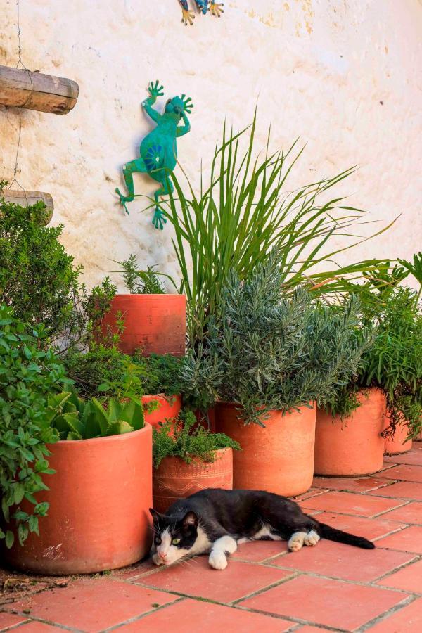 La Hacienda Hostel San Gil Εξωτερικό φωτογραφία